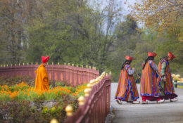 Bhutan_2025 (62/79)